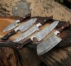 Set of elegant Damascus steel knives